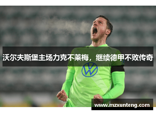 沃尔夫斯堡主场力克不莱梅，继续德甲不败传奇
