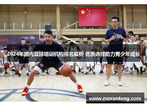 2024年国内篮球培训机构排名解析 优质选择助力青少年成长