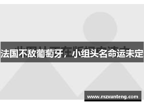法国不敌葡萄牙，小组头名命运未定